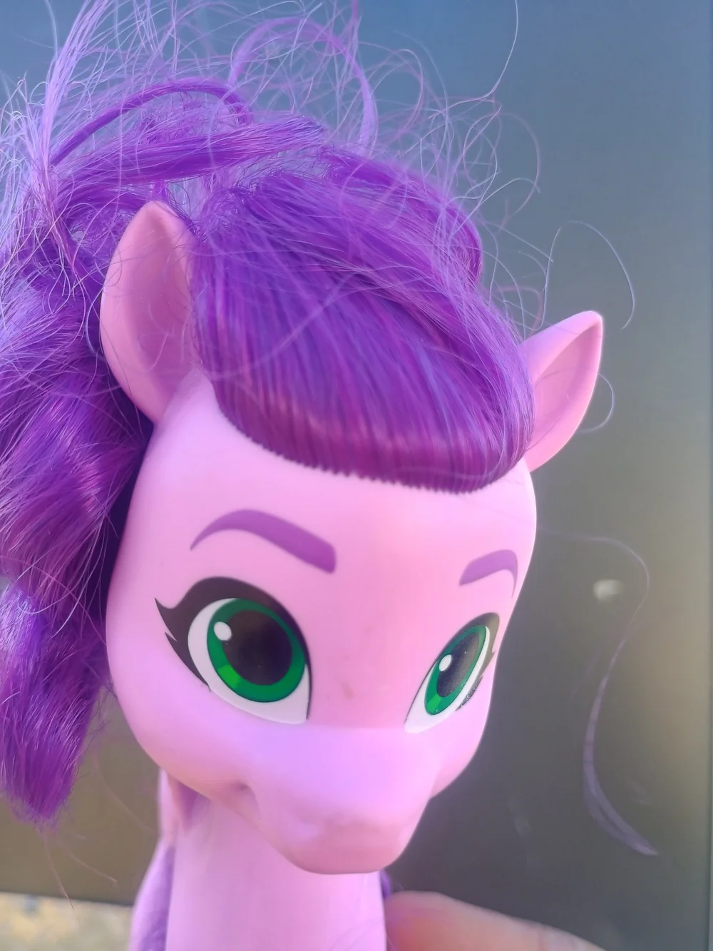 MLP My Little Pony A New Generation Shining Adventures Princess Pipp Petals G5